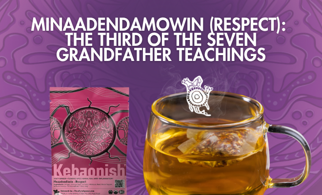 Minaadendamowin (Respect): The Third of the Seven Grandfather Teachings