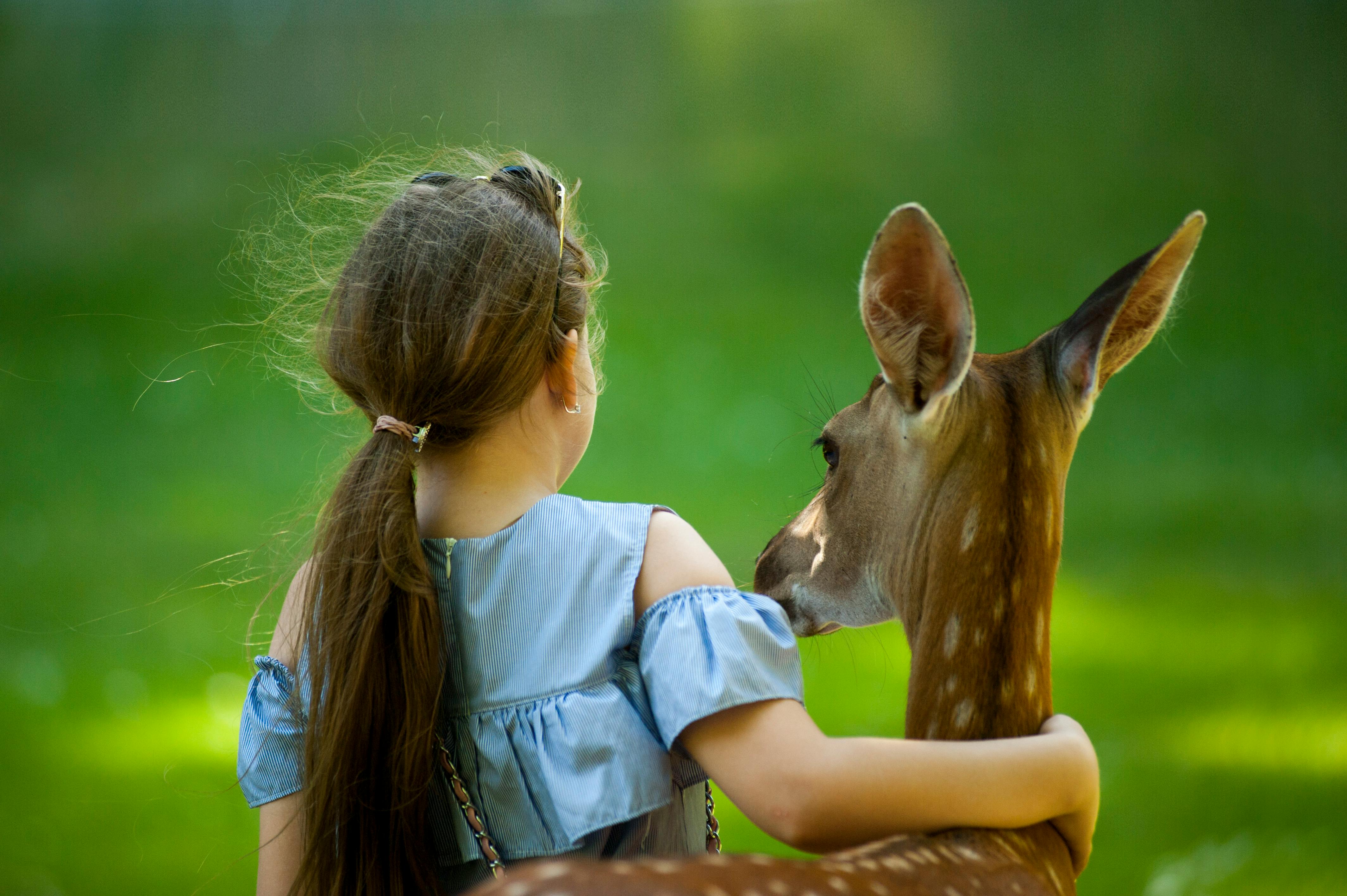 Lessons from the Land: A Lighthearted Reminder from Nature