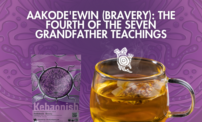 Aakode'ewin (Bravery): The Fourth of the Seven Grandfather Teachings