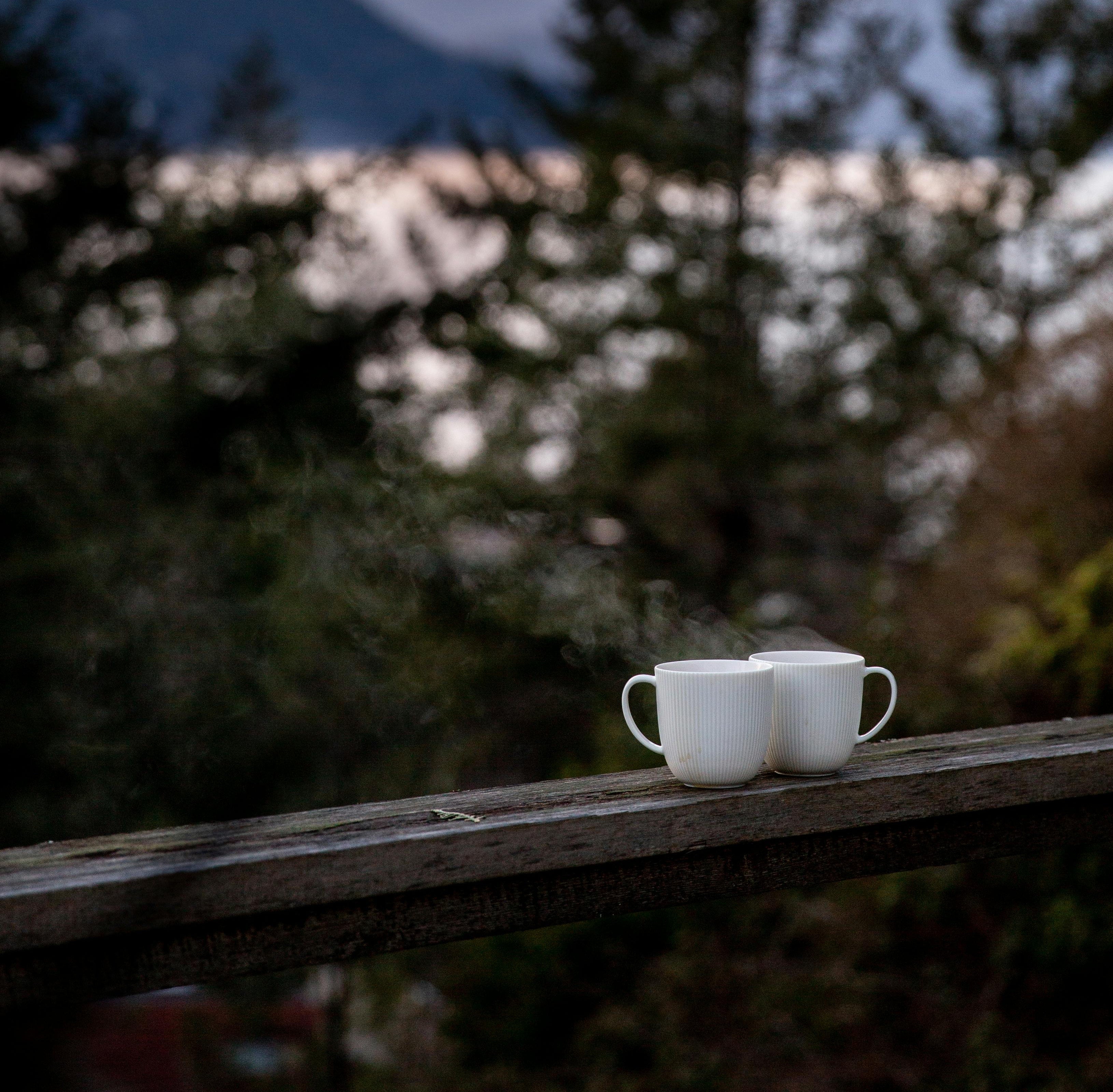 The Wisdom of Reflection: Finding Kindness in Ourselves and the Natural World